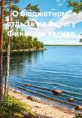 О летнем отдыхе на берегу Финского залива.