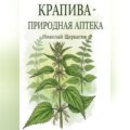 Крапива – природная аптека