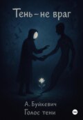 ТЕНЬ – НЕ ВРАГ, А КОРЕНЬ СИЛЫ
