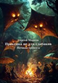 Практика не для слабаков. Ночная тревога