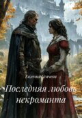 Последняя любовь некроманта