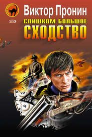 Слишком большое сходство (сборник)