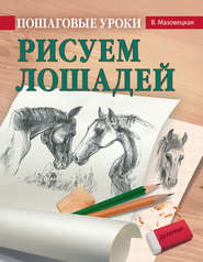 Пошаговые уроки рисования. Рисуем лошадей