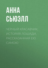 Черный Красавчик: история лошади, рассказанная ею самою