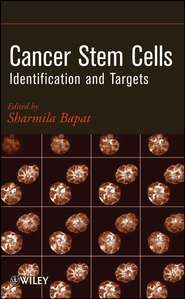 Cancer Stem Cells. Identification and Targets