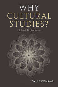 Why Cultural Studies?