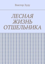 Лесная жизнь отшельника. Книга 5. Второй вариант вознесения