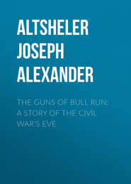 The Guns of Bull Run: A Story of the Civil War's Eve