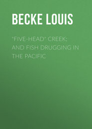 "Five-Head" Creek; and Fish Drugging In The Pacific