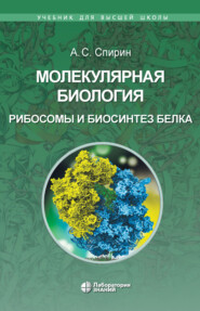 Молекулярная биология. Рибосомы и биосинтез белка
