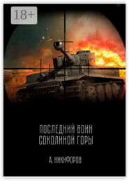 Последний воин Соколиной горы