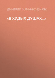 «В худых душах…»