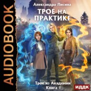 Трое на практике