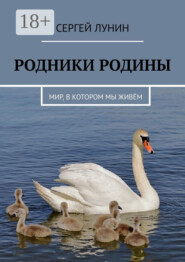 Родники Родины. Мир, в котором мы живём