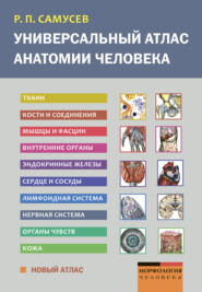 Универсальный атлас анатомии человека