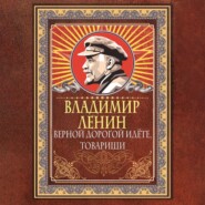 Верной дорогой идёте, товарищи