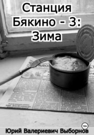 Станция Бякино – 3: Зима