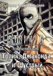 Сталкер. Тень Чернобыля. Толик, Джаконда и Шустрый