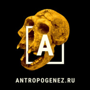 Что ответить альтернативщику? Соколов vs «Эпоха недоверия» | Другая сторона