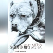 Жизнь Пит мена