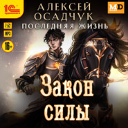 Закон силы