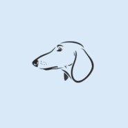 Знание — сила