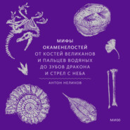 Мифы окаменелостей. От костей великанов и пальцев водяных до зубов дракона и стрел с неба