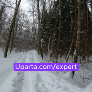 У вас свой бизнес, и вы понимаете, что все идет к банкротству