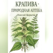 Крапива – природная аптека