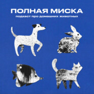 Полная миска | Ездовые собаки