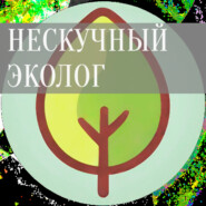 Экоотчетность без ошибок и штрафов: Защита бизнеса в эпоху ИИ-контроля