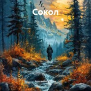 Сокол