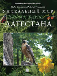 Уникальный мир флоры и фауны Дагестана