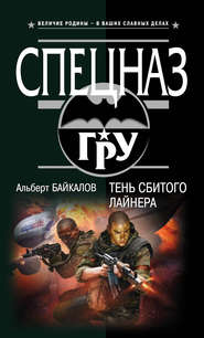 Тень сбитого лайнера