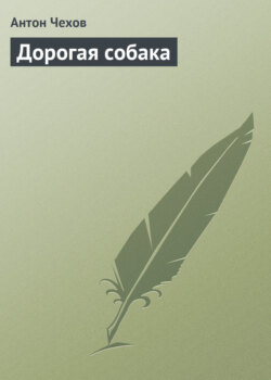 Дорогая собака