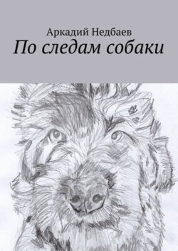 По следам собаки