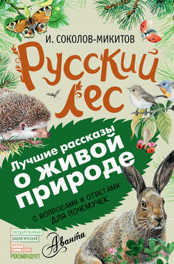 Русский лес. С вопросами и ответами для почемучек
