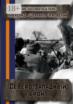 Северо-Западный фронт. Серия «Бессмертный полк»