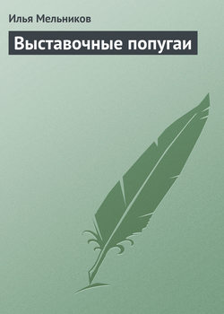 Выставочные попугаи