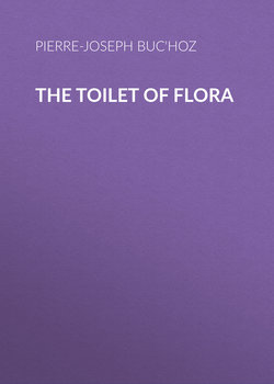 The Toilet of Flora