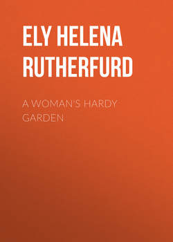 A Woman's Hardy Garden