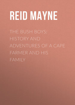 The Bush Boys: History and Adventures of a Cape Farmer and his Family