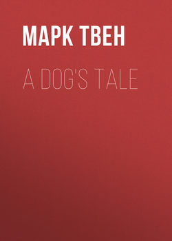 A Dog's Tale