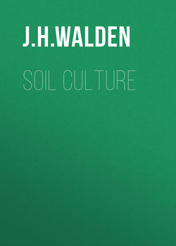 Soil Culture