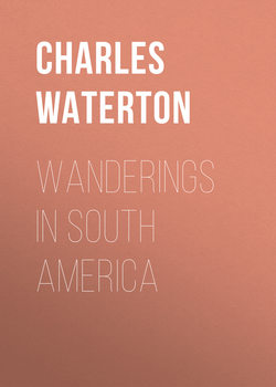 Wanderings in South America