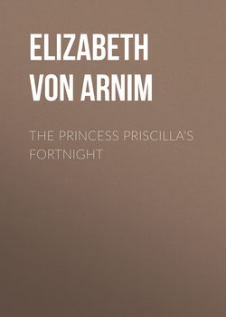 The Princess Priscilla's Fortnight