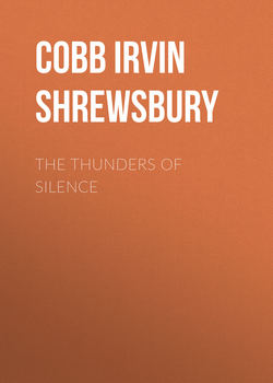 The Thunders of Silence