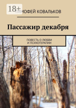 Пассажир декабря. Повесть о любви и психотерапии