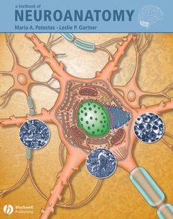 A Textbook of Neuroanatomy