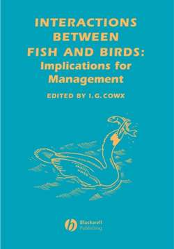 Interactions Between Fish and Birds